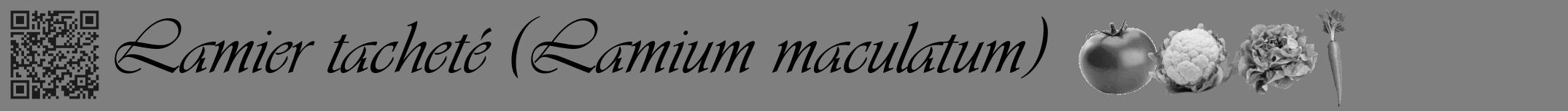 Étiquette de : Lamium maculatum - format a - style noire31simpleviv avec qrcode et comestibilité simplifiée