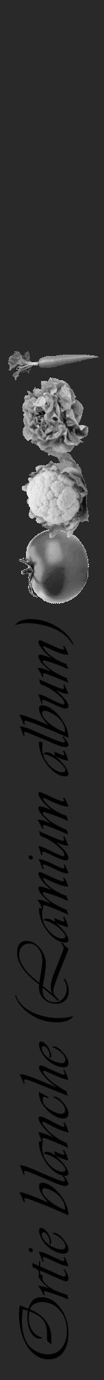 Étiquette de : Lamium album - format a - style noire34viv avec comestibilité simplifiée - position verticale