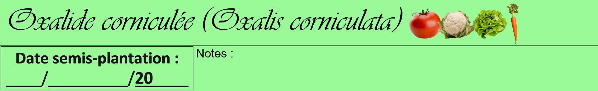 Étiquette de : Oxalis corniculata - format a - style noire14viv avec comestibilité simplifiée