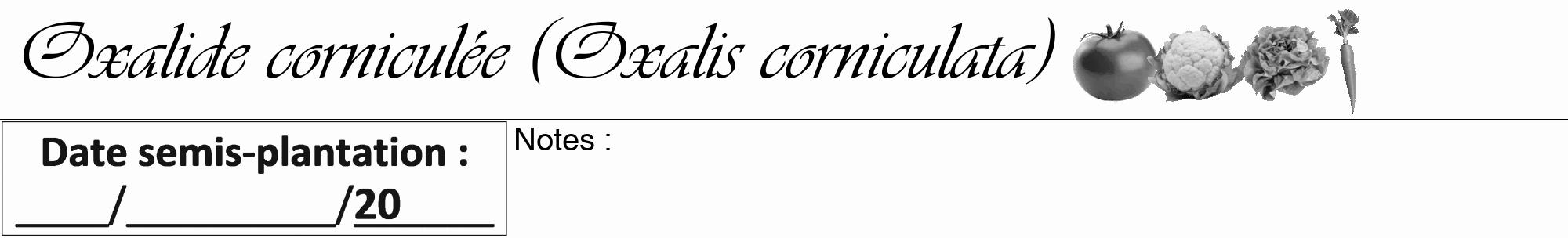 Étiquette de : Oxalis corniculata - format a - style noire19viv avec comestibilité simplifiée