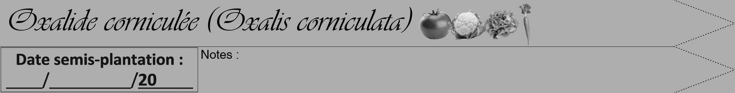 Étiquette de : Oxalis corniculata - format a - style noire22simpleviv avec comestibilité simplifiée
