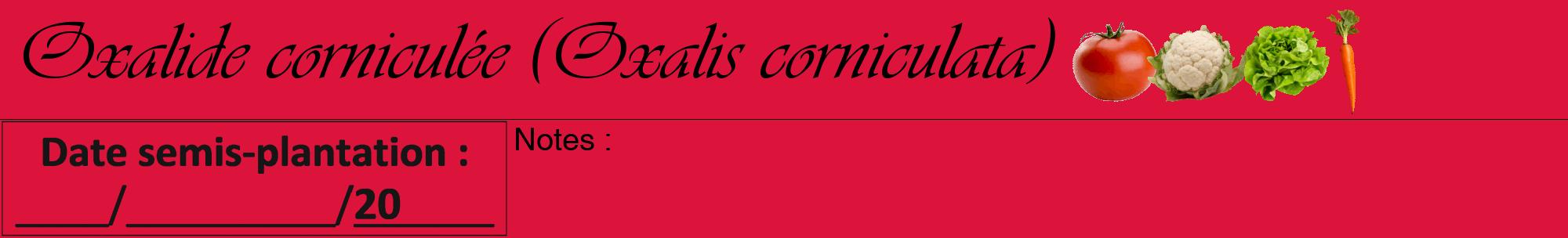 Étiquette de : Oxalis corniculata - format a - style noire36viv avec comestibilité simplifiée
