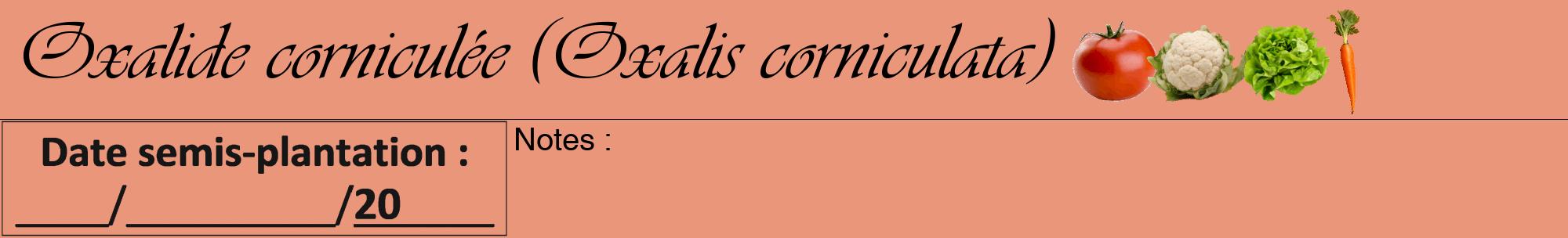 Étiquette de : Oxalis corniculata - format a - style noire37viv avec comestibilité simplifiée