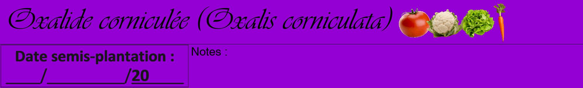 Étiquette de : Oxalis corniculata - format a - style noire48viv avec comestibilité simplifiée