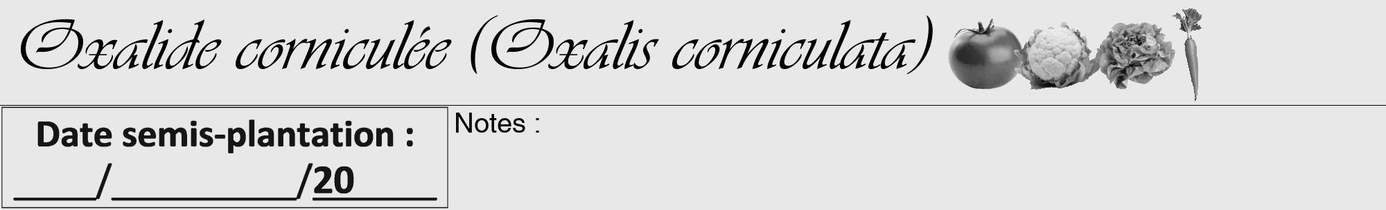 Étiquette de : Oxalis corniculata - format a - style noire55viv avec comestibilité simplifiée
