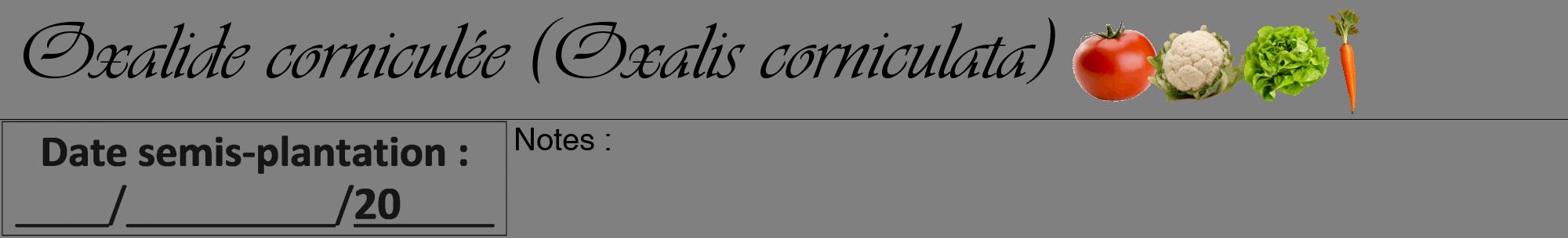 Étiquette de : Oxalis corniculata - format a - style noire57viv avec comestibilité simplifiée