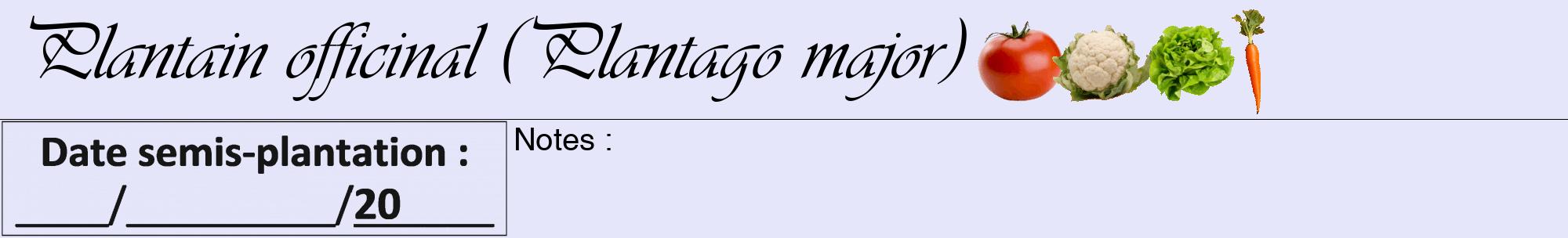 Étiquette de : Plantago major - format a - style noire55viv avec comestibilité simplifiée