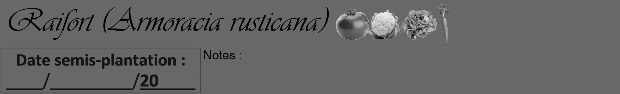 Étiquette de : Armoracia rusticana - format a - style noire43viv avec comestibilité simplifiée