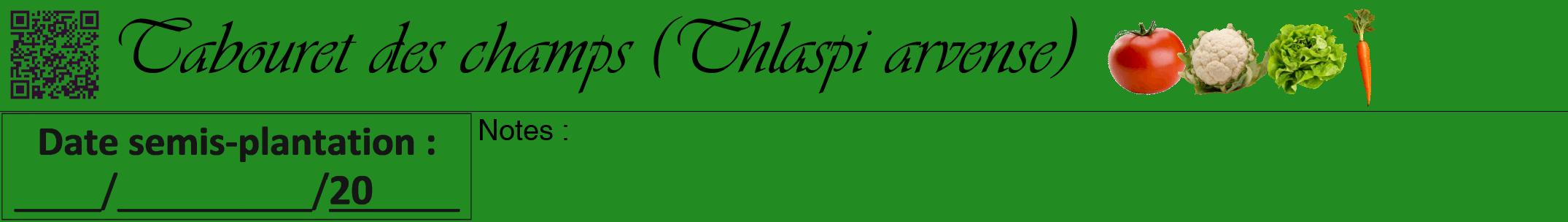 Étiquette de : Thlaspi arvense - format a - style noire10viv avec qrcode et comestibilité simplifiée