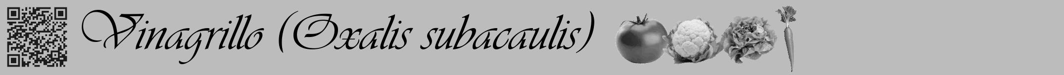 Étiquette de : Oxalis subacaulis - format a - style noire1viv avec qrcode et comestibilité simplifiée