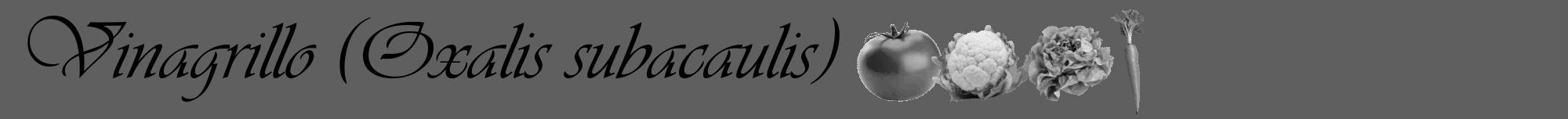 Étiquette de : Oxalis subacaulis - format a - style noire10viv avec comestibilité simplifiée