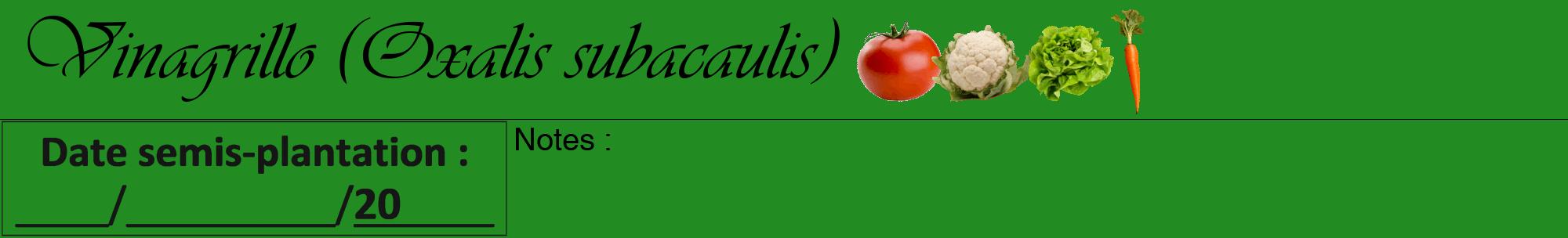 Étiquette de : Oxalis subacaulis - format a - style noire10viv avec comestibilité simplifiée