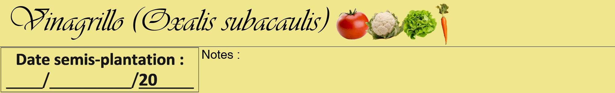 Étiquette de : Oxalis subacaulis - format a - style noire20viv avec comestibilité simplifiée