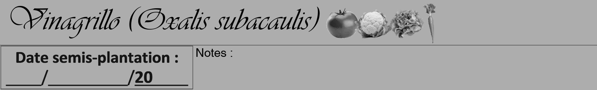 Étiquette de : Oxalis subacaulis - format a - style noire22viv avec comestibilité simplifiée