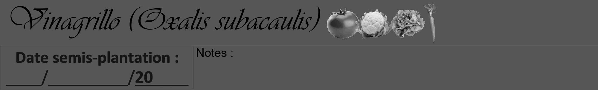 Étiquette de : Oxalis subacaulis - format a - style noire45viv avec comestibilité simplifiée