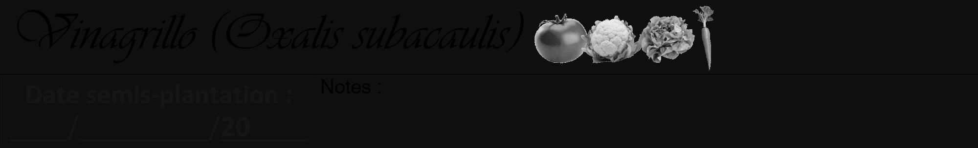 Étiquette de : Oxalis subacaulis - format a - style noire7viv avec comestibilité simplifiée