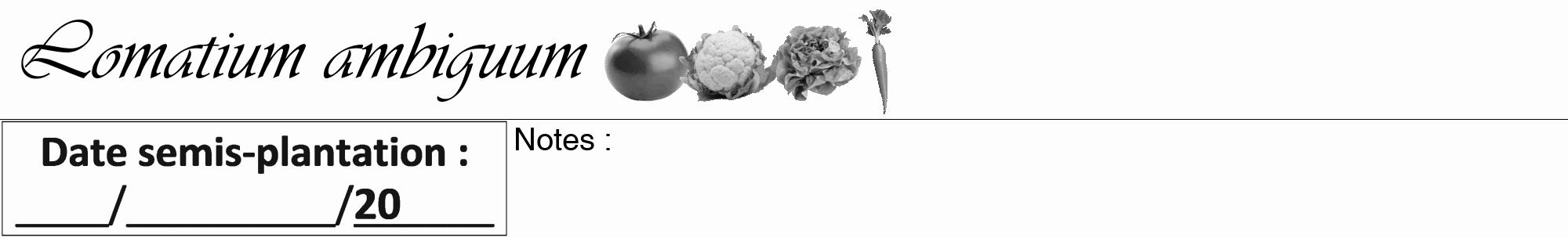 Étiquette de : Lomatium ambiguum - format a - style noire19viv avec comestibilité simplifiée
