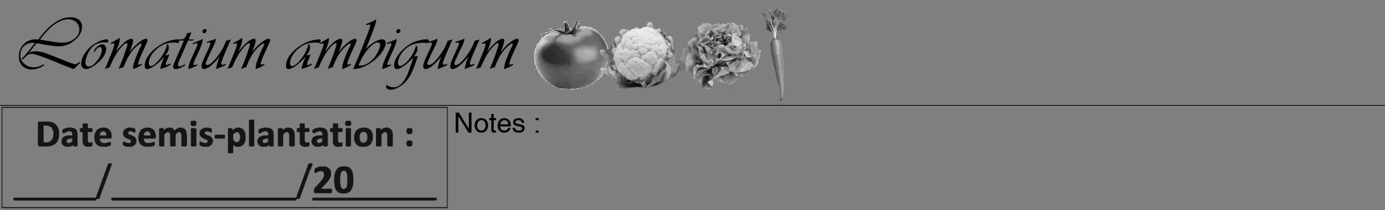 Étiquette de : Lomatium ambiguum - format a - style noire31viv avec comestibilité simplifiée
