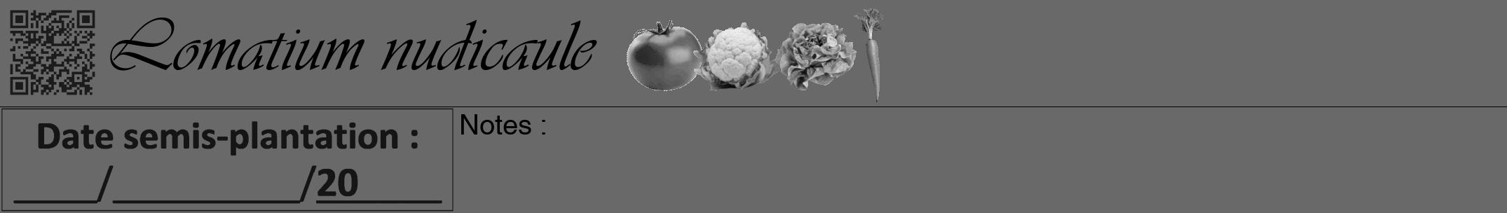 Étiquette de : Lomatium nudicaule - format a - style noire11viv avec qrcode et comestibilité simplifiée
