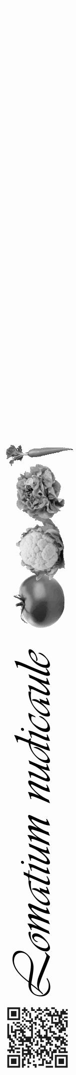 Étiquette de : Lomatium nudicaule - format a - style noire19basiqueviv avec qrcode et comestibilité simplifiée - position verticale
