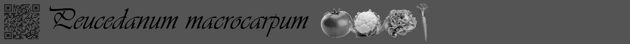 Étiquette de : Peucedanum macrocarpum - format a - style noire36viv avec qrcode et comestibilité simplifiée