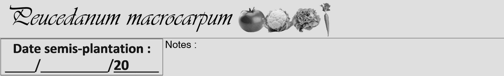 Étiquette de : Peucedanum macrocarpum - format a - style noire20viv avec comestibilité simplifiée