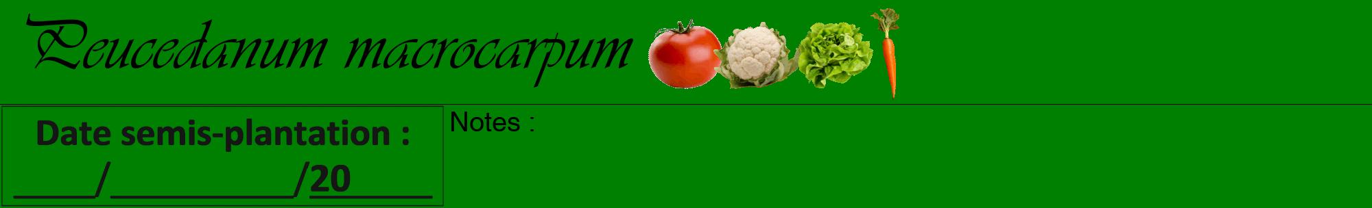 Étiquette de : Peucedanum macrocarpum - format a - style noire9viv avec comestibilité simplifiée