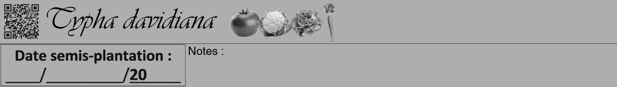 Étiquette de : Typha davidiana - format a - style noire53viv avec qrcode et comestibilité simplifiée