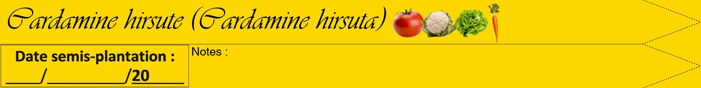 Étiquette de : Cardamine hirsuta - format b - style noire21viv avec comestibilité simplifiée