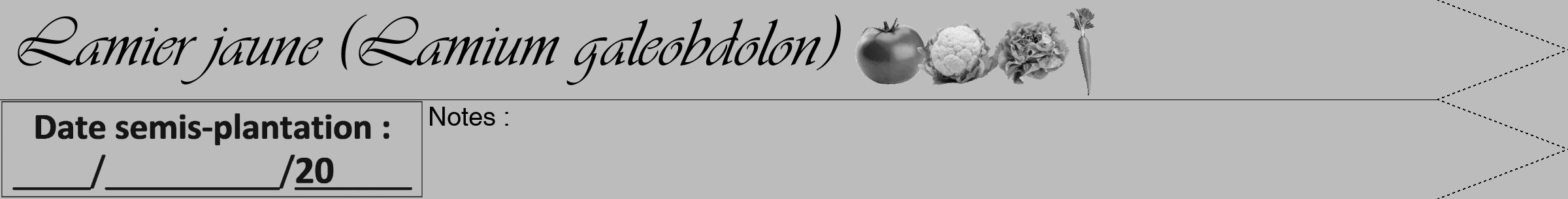 Étiquette de : Lamium galeobdolon - format b - style noire1viv avec comestibilité simplifiée