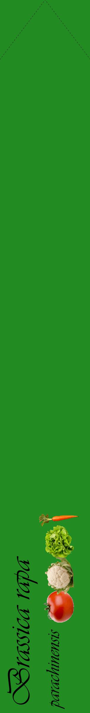Étiquette de : Brassica rapa parachinensis - format c - style noire10_simpleviv avec comestibilité simplifiée