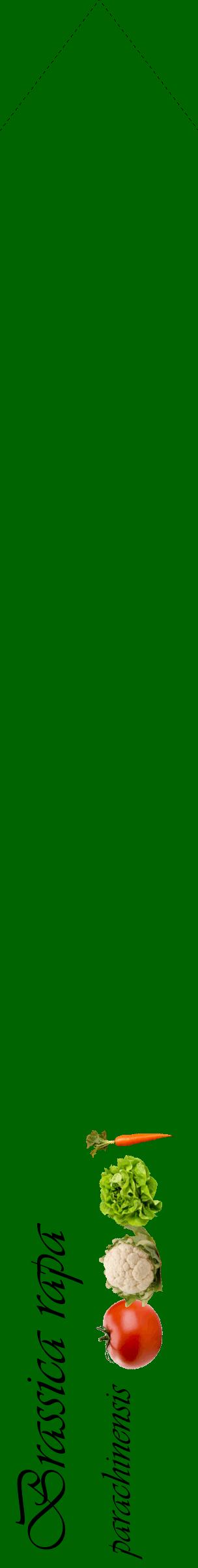 Étiquette de : Brassica rapa parachinensis - format c - style noire8_simpleviv avec comestibilité simplifiée