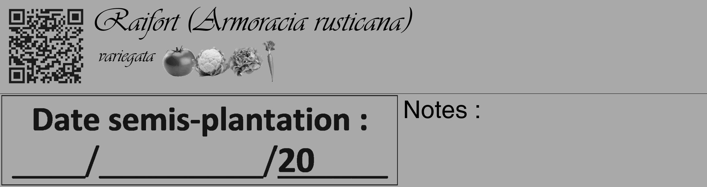 Étiquette de : Armoracia rusticana variegata - format c - style noire13_basique_basiqueviv avec qrcode et comestibilité simplifiée