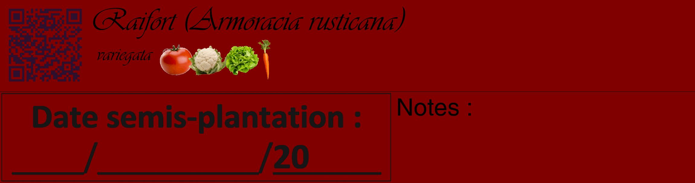 Étiquette de : Armoracia rusticana variegata - format c - style noire29_basique_basiqueviv avec qrcode et comestibilité simplifiée