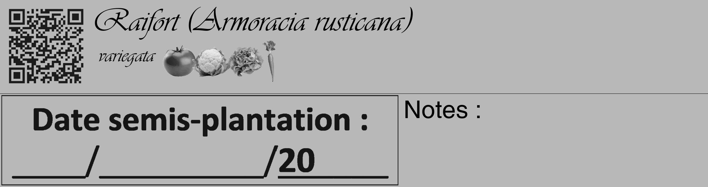 Étiquette de : Armoracia rusticana variegata - format c - style noire39_basique_basiqueviv avec qrcode et comestibilité simplifiée