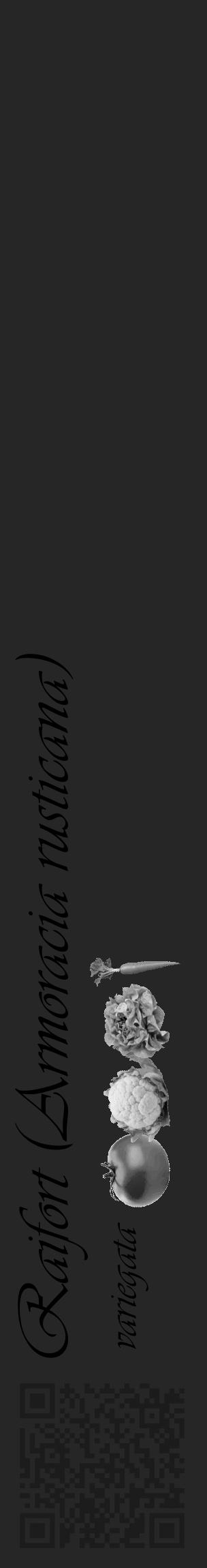 Étiquette de : Armoracia rusticana variegata - format c - style noire29_basique_basiqueviv avec qrcode et comestibilité simplifiée - position verticale