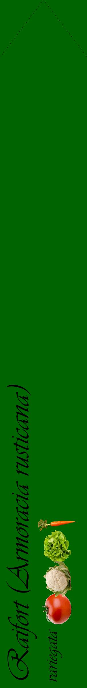 Étiquette de : Armoracia rusticana variegata - format c - style noire8_simpleviv avec comestibilité simplifiée