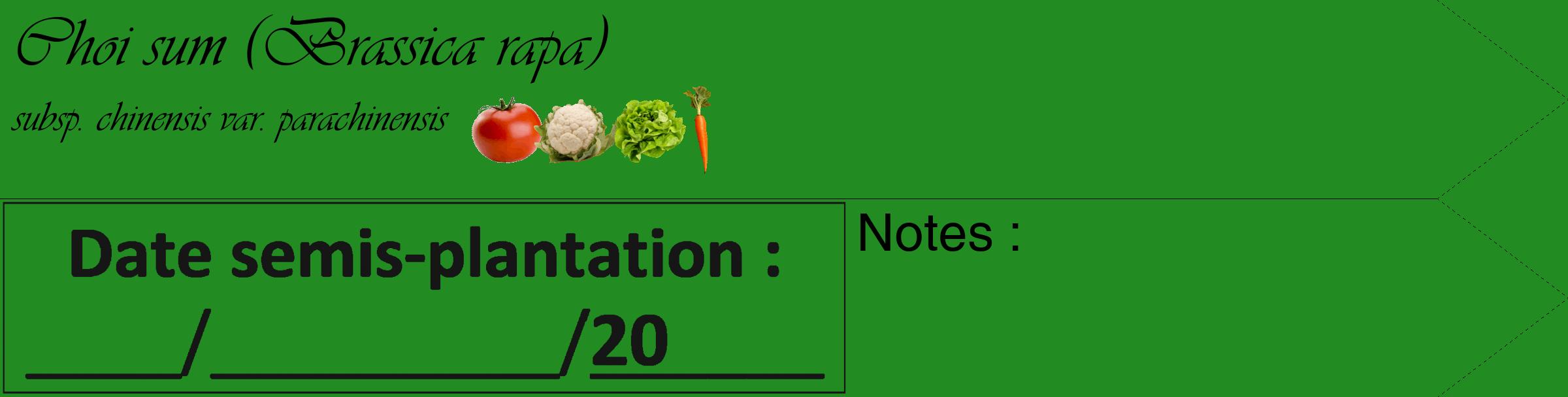 Étiquette de : Brassica rapa subsp. chinensis var. parachinensis - format c - style noire10_simple_simpleviv avec comestibilité simplifiée