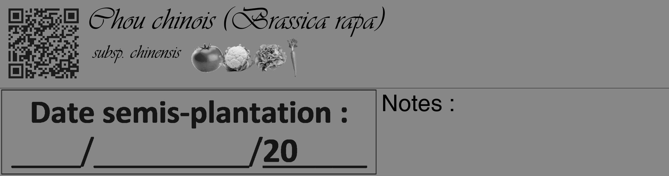 Étiquette de : Brassica rapa subsp. chinensis - format c - style noire12_basique_basiqueviv avec qrcode et comestibilité simplifiée