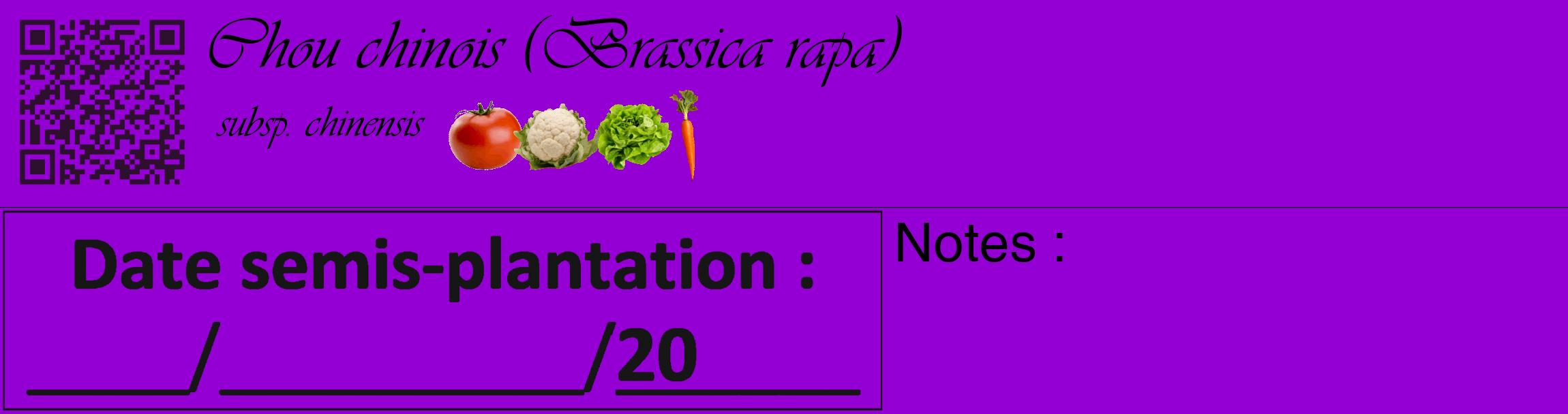 Étiquette de : Brassica rapa subsp. chinensis - format c - style noire48_basique_basiqueviv avec qrcode et comestibilité simplifiée