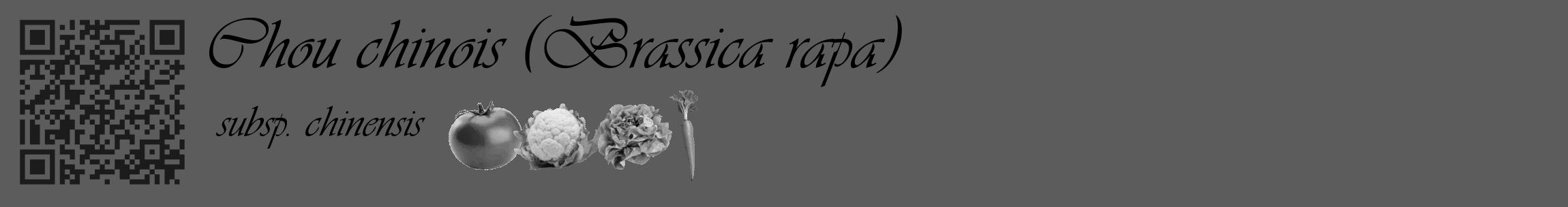 Étiquette de : Brassica rapa subsp. chinensis - format c - style noire49_basique_basiqueviv avec qrcode et comestibilité simplifiée