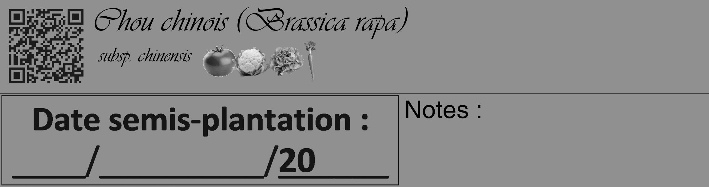 Étiquette de : Brassica rapa subsp. chinensis - format c - style noire4_basique_basiqueviv avec qrcode et comestibilité simplifiée