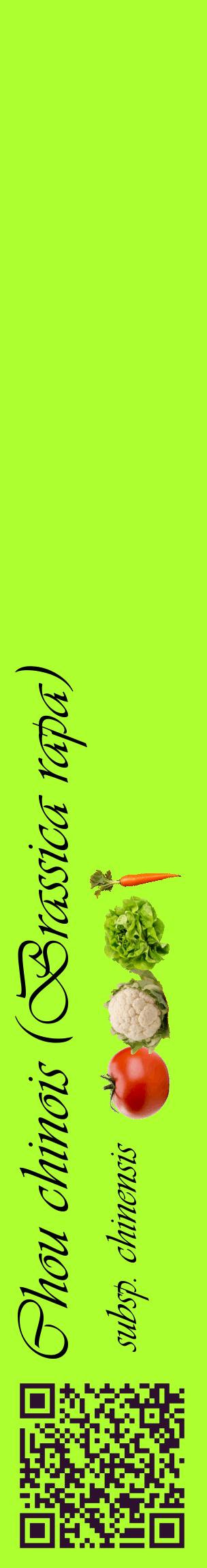 Étiquette de : Brassica rapa subsp. chinensis - format c - style noire17_basiqueviv avec qrcode et comestibilité simplifiée