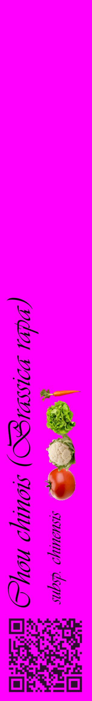 Étiquette de : Brassica rapa subsp. chinensis - format c - style noire51_basiqueviv avec qrcode et comestibilité simplifiée