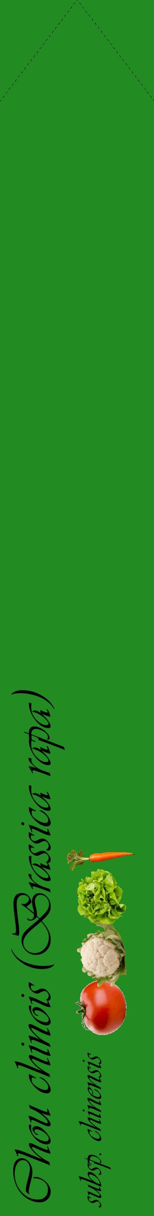 Étiquette de : Brassica rapa subsp. chinensis - format c - style noire10_simpleviv avec comestibilité simplifiée