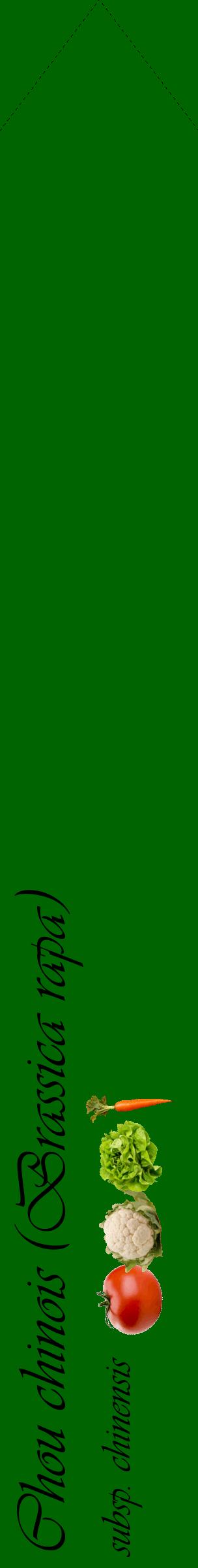 Étiquette de : Brassica rapa subsp. chinensis - format c - style noire8_simpleviv avec comestibilité simplifiée