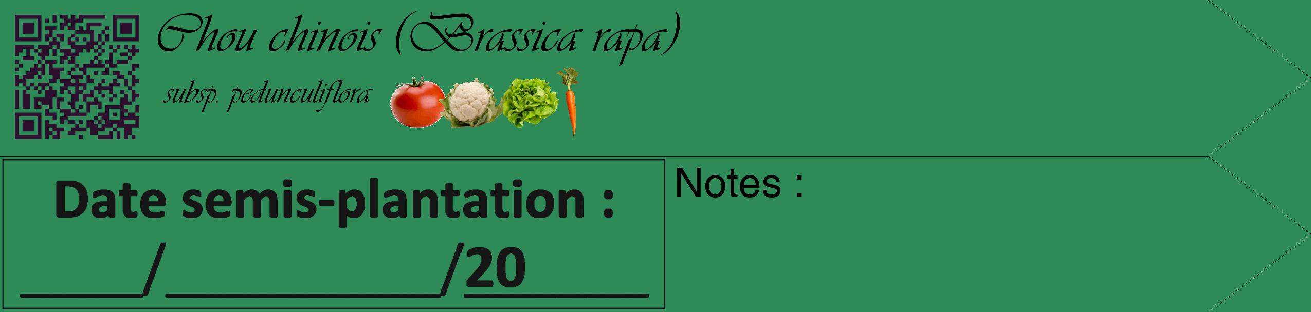 Étiquette de : Brassica rapa subsp. pedunculiflora - format c - style noire11simple_basique_basiqueviv avec qrcode et comestibilité simplifiée