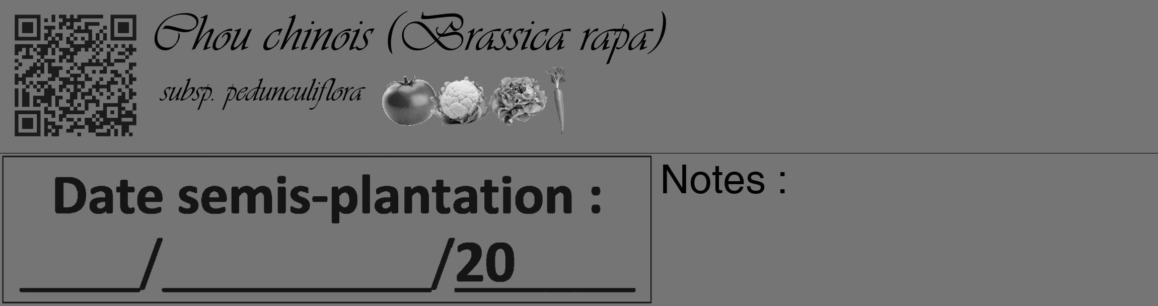 Étiquette de : Brassica rapa subsp. pedunculiflora - format c - style noire5_basique_basiqueviv avec qrcode et comestibilité simplifiée