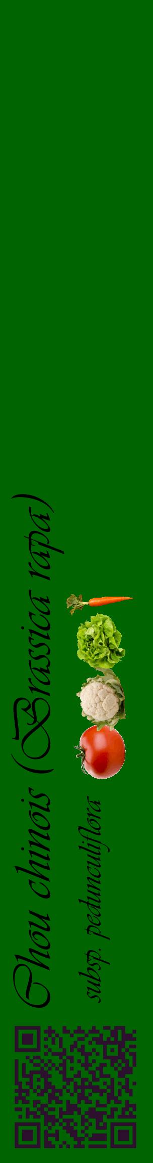 Étiquette de : Brassica rapa subsp. pedunculiflora - format c - style noire8_basiqueviv avec qrcode et comestibilité simplifiée
