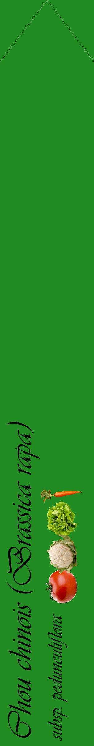 Étiquette de : Brassica rapa subsp. pedunculiflora - format c - style noire10_simpleviv avec comestibilité simplifiée